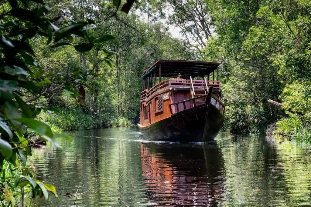 A klotok riverboat on a jungle river in Borneo