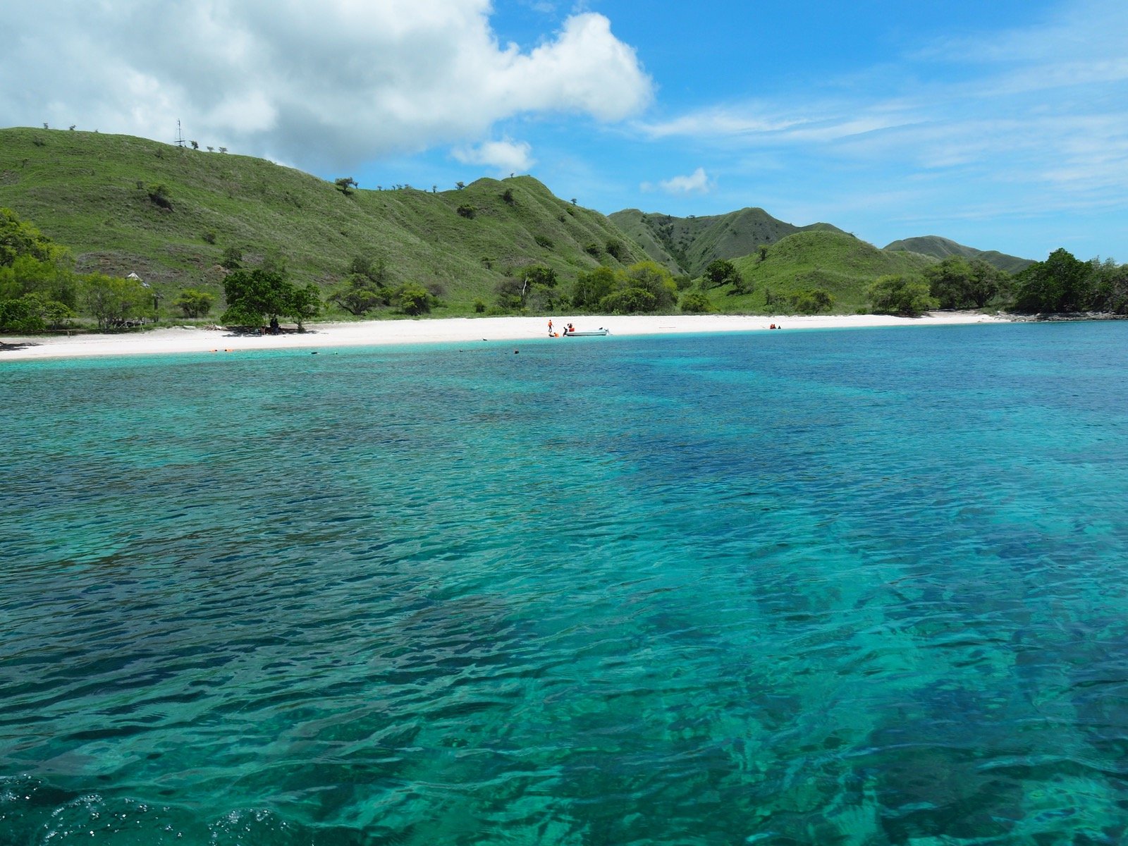 Pink Beach on Komodo Island