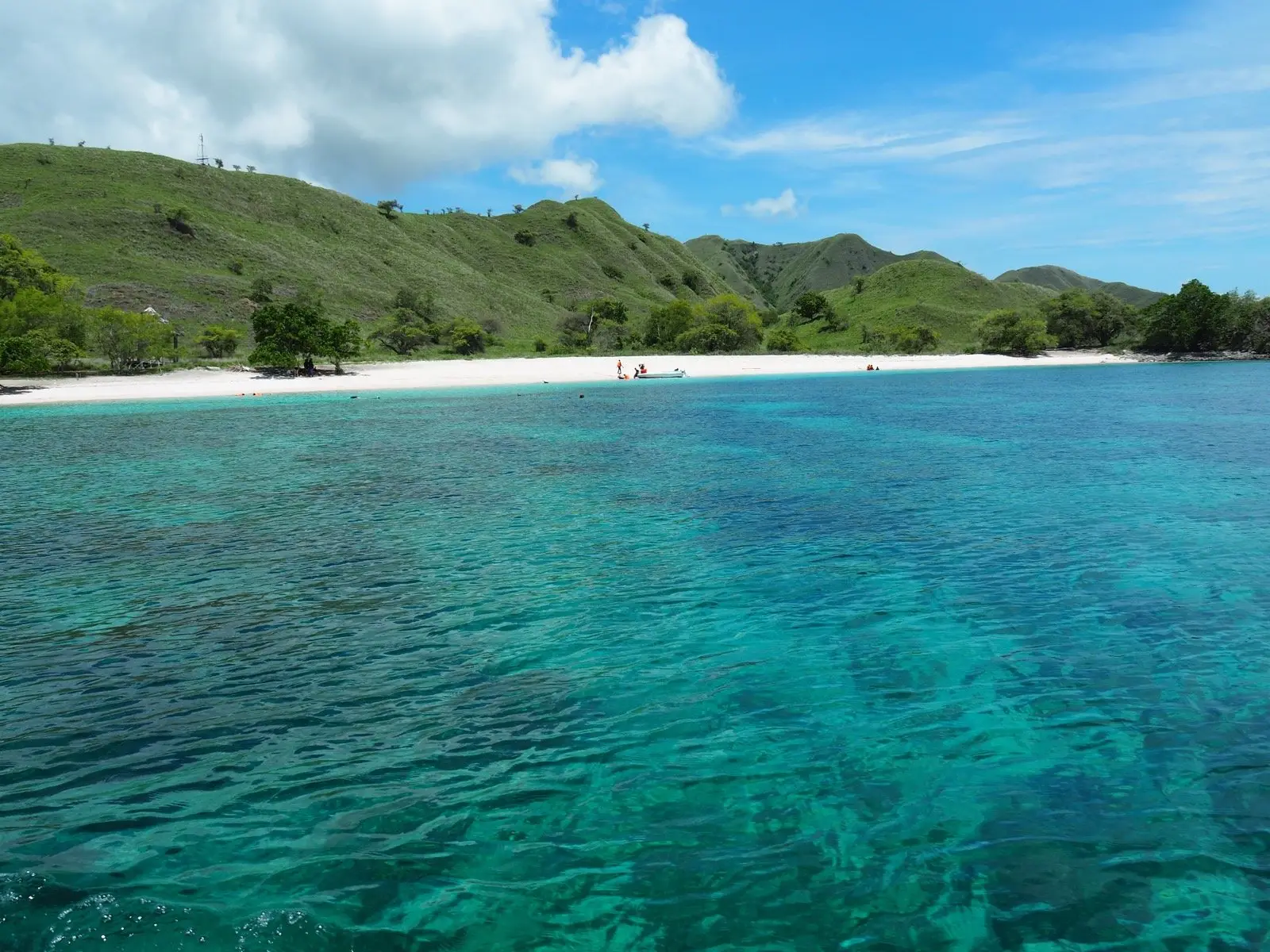Pink Beach on Komodo Island