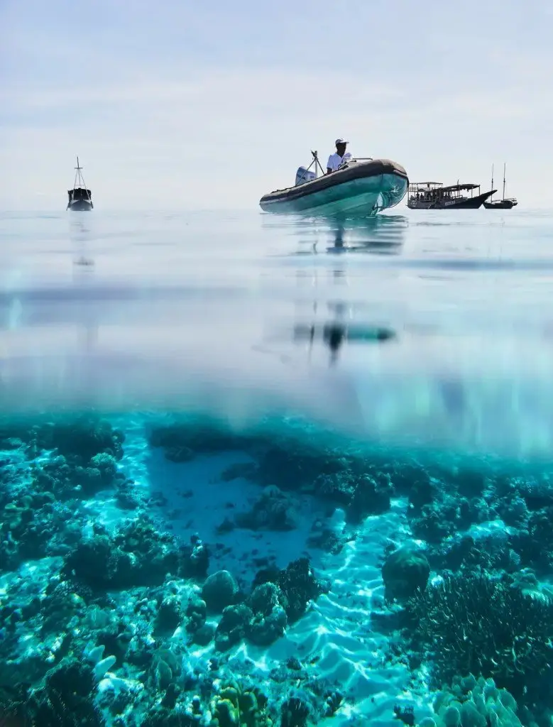 An over-under view of a tender, phinisi yachts, and a coral reef in Indonesia
