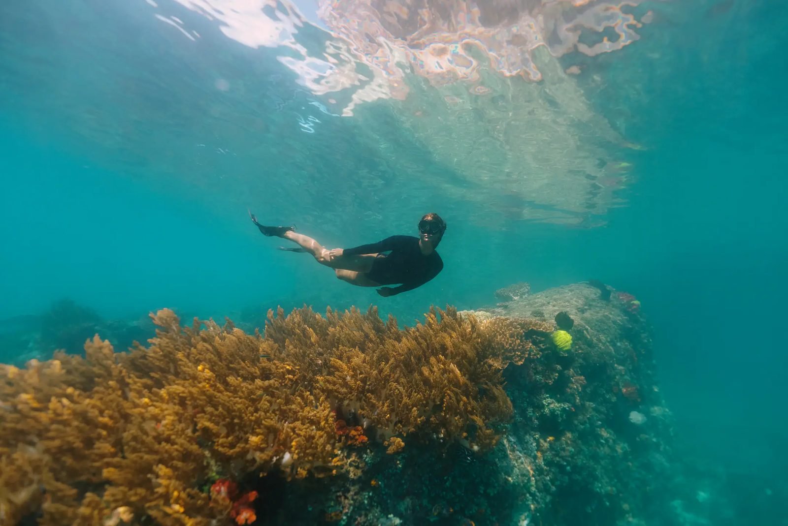Snorkeling on a Mutiara Laut voyage