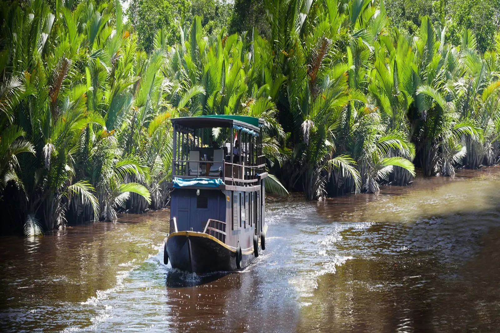 Sekonyer, a 3-cabin klotok riverboat for cabin trips in Tanjung Puting National Park, Borneo